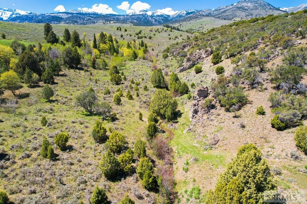 Image 7 of property listing at TBD 900 E, Downey, ID 83234
