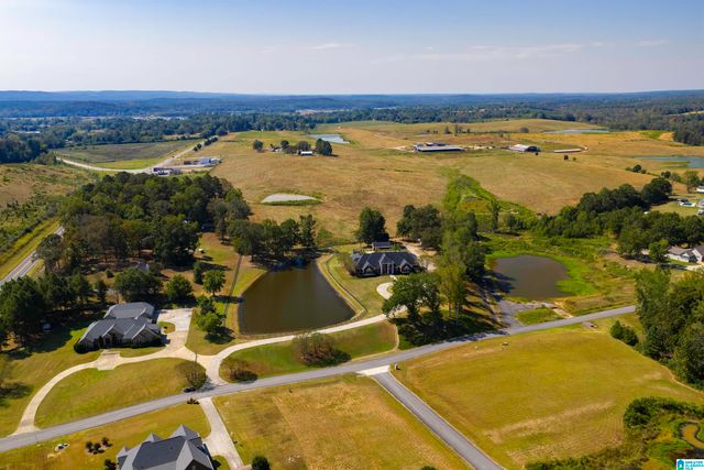 65 RIVER HEIGHTS DRIVE, Cleveland, AL 35049