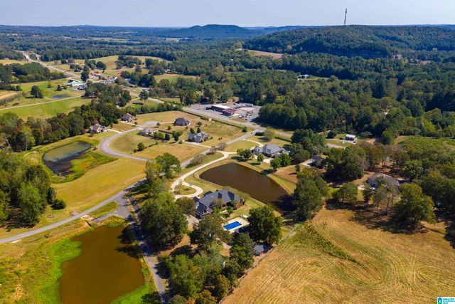 65 RIVER HEIGHTS DRIVE, Cleveland, AL 35049