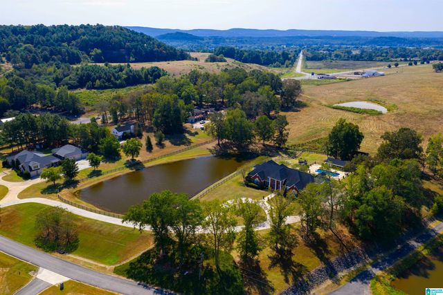 65 RIVER HEIGHTS DRIVE, Cleveland, AL 35049