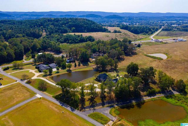 65 RIVER HEIGHTS DRIVE, Cleveland, AL 35049