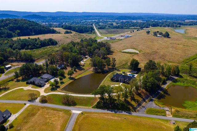 65 RIVER HEIGHTS DRIVE, Cleveland, AL 35049