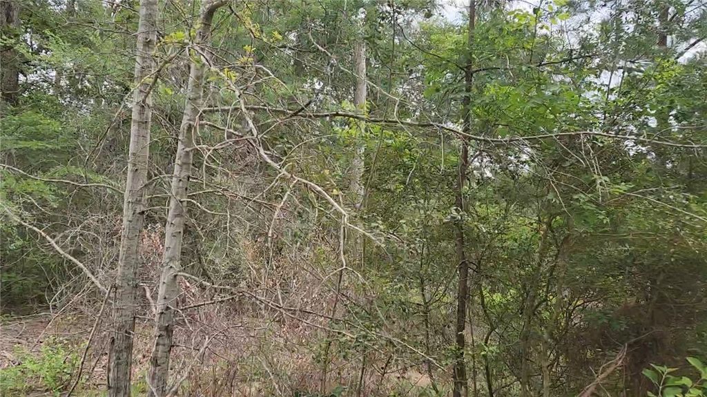 Lot 10 Sweetleaf Lane, Plantersville, TX 77363 — exterior
