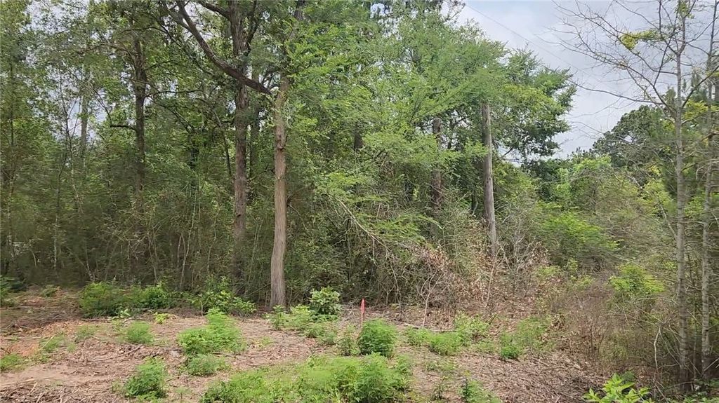 Lot 10 Sweetleaf Lane, Plantersville, TX 77363 — photo 2
