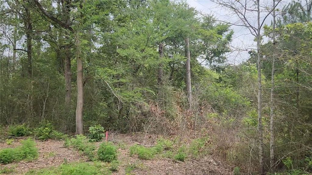 Lot 10 Sweetleaf Lane, Plantersville, TX 77363 — photo 3