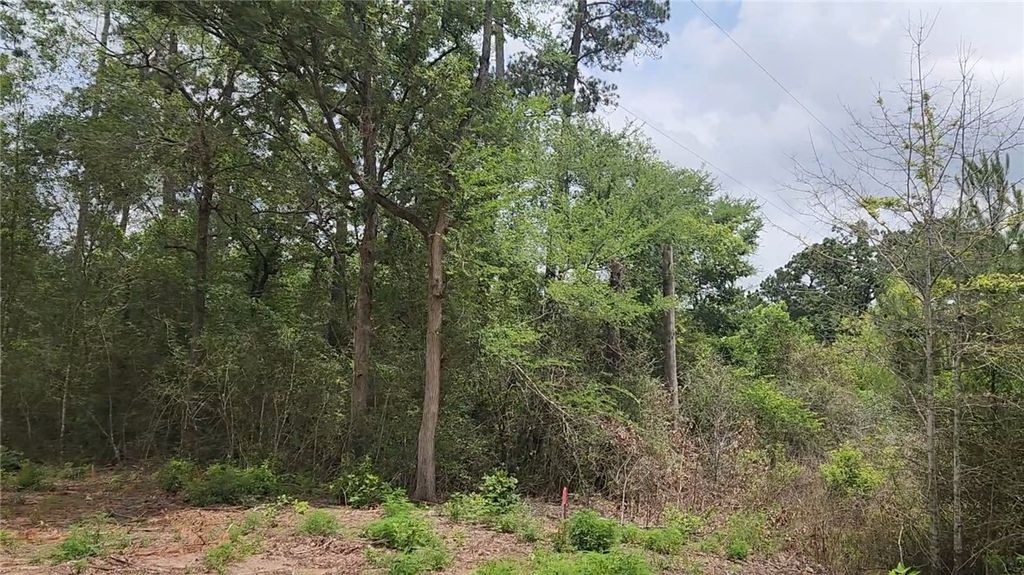 Lot 10 Sweetleaf Lane, Plantersville, TX 77363 — photo 4