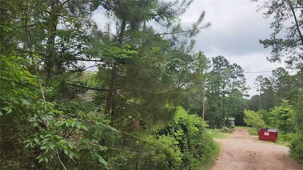 Lot 10 Sweetleaf Lane, Plantersville, TX 77363 — photo 5