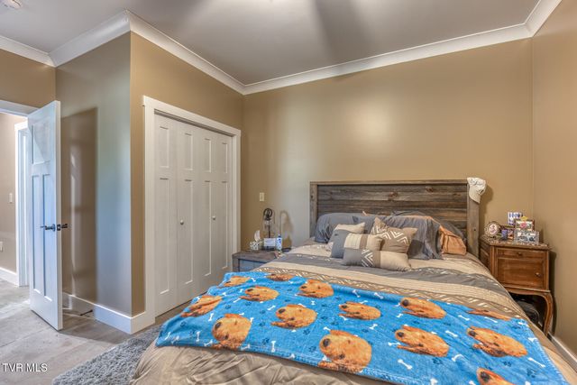 384 Cross Mountain Drive, Shady Valley, TN 37688