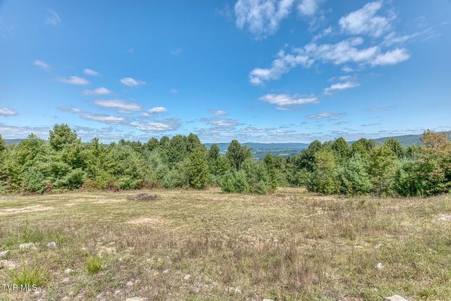 384 Cross Mountain Drive, Shady Valley, TN 37688