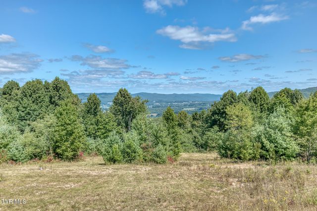 384 Cross Mountain Drive, Shady Valley, TN 37688