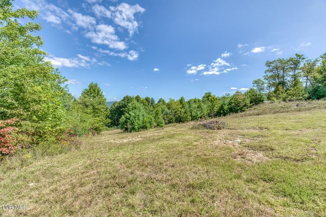 384 Cross Mountain Drive, Shady Valley, TN 37688