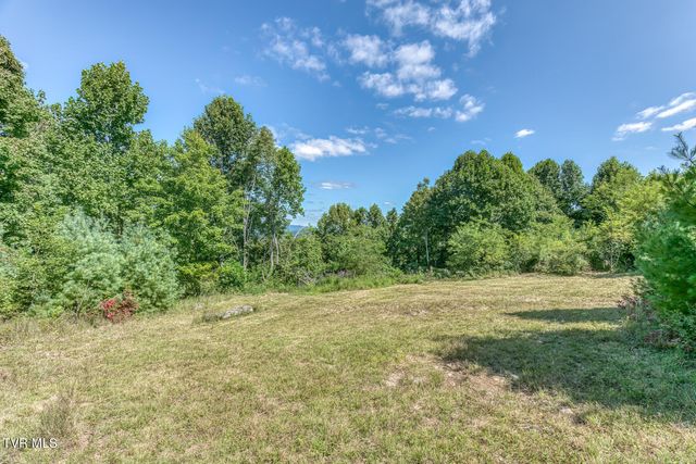 384 Cross Mountain Drive, Shady Valley, TN 37688