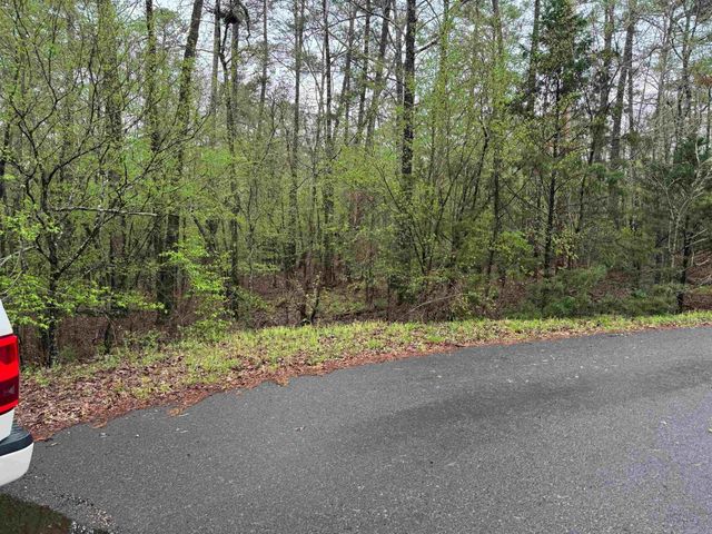 10 FASTOTA PLACE, Hot Springs Village, AR 71909