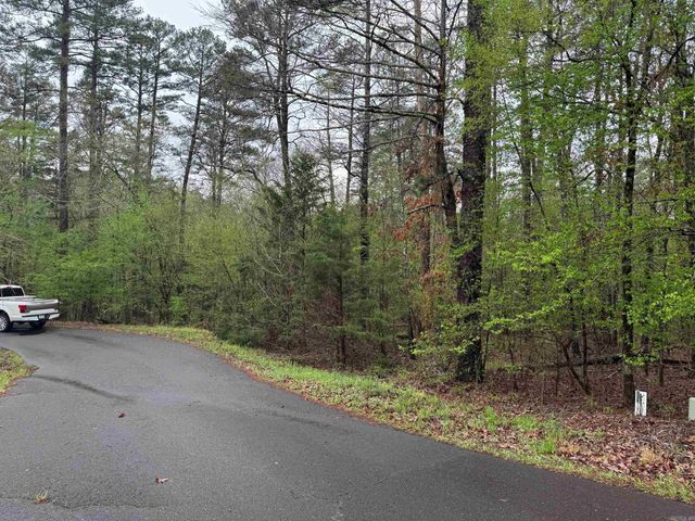 10 FASTOTA PLACE, Hot Springs Village, AR 71909