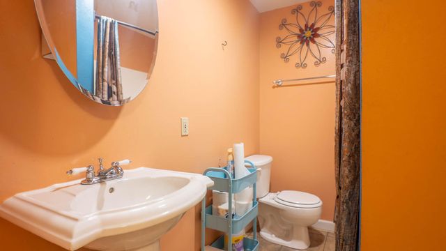 363 County Road 234, Alton, MO 65606