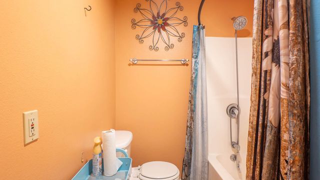 363 County Road 234, Alton, MO 65606