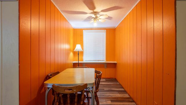 363 County Road 234, Alton, MO 65606