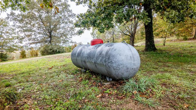 363 County Road 234, Alton, MO 65606