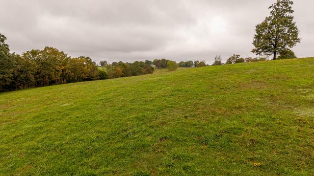 363 County Road 234, Alton, MO 65606