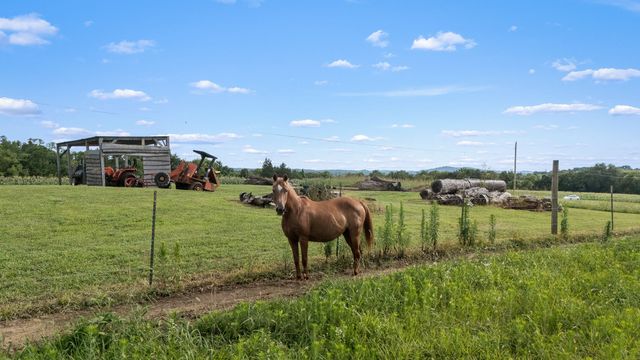 104 Hickerson Rd, Wartrace, TN 37183