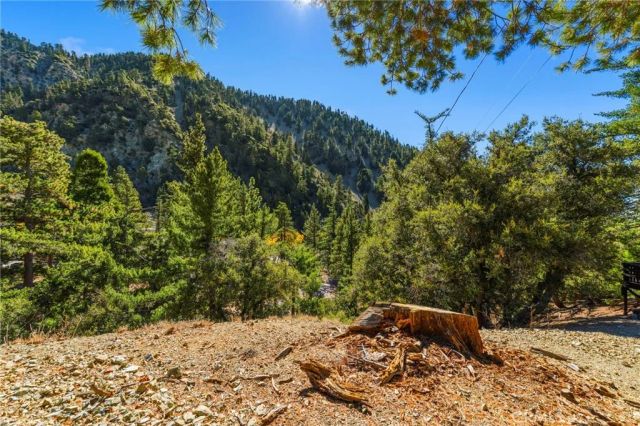 34 Manker Flats, Mt Baldy, CA 91759