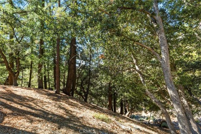 34 Manker Flats, Mt Baldy, CA 91759