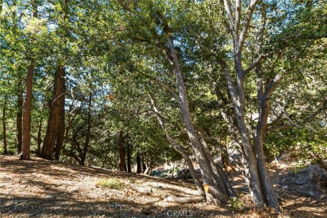 34 Manker Flats, Mt Baldy, CA 91759