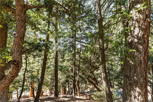 34 Manker Flats, Mt Baldy, CA 91759