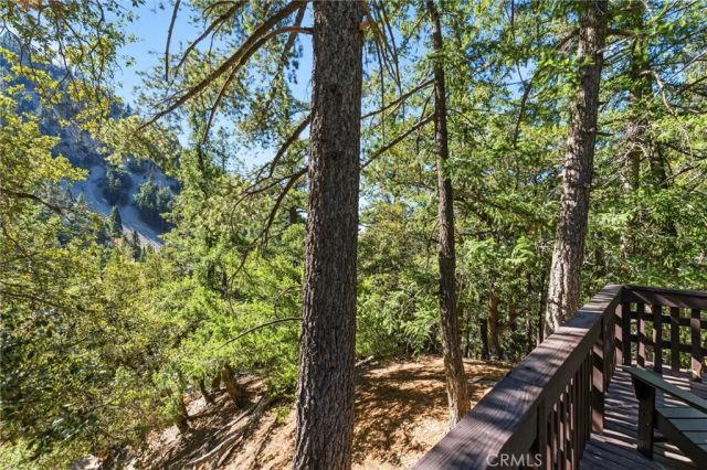 34 Manker Flats, Mt Baldy, CA 91759