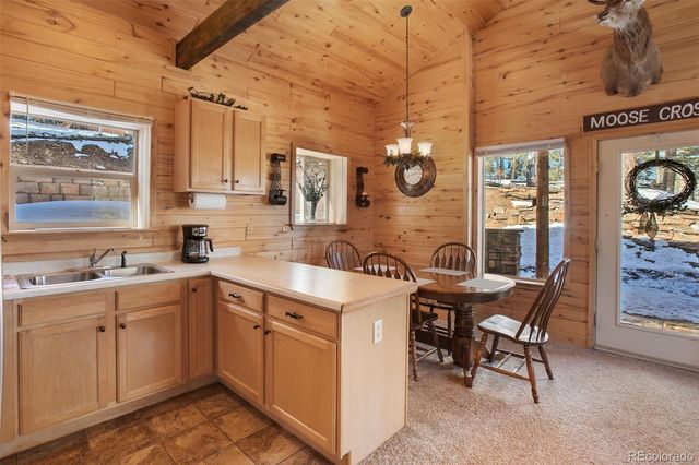 526 Wakanda Trail, Woodland Park, CO 80863