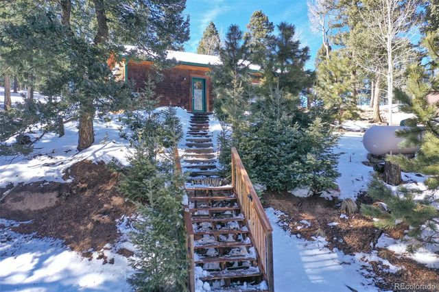 526 Wakanda Trail, Woodland Park, CO 80863