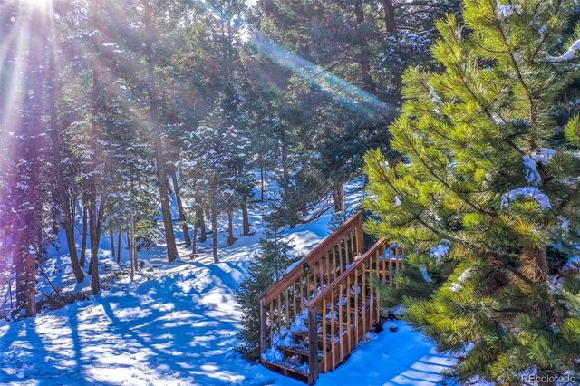 526 Wakanda Trail, Woodland Park, CO 80863