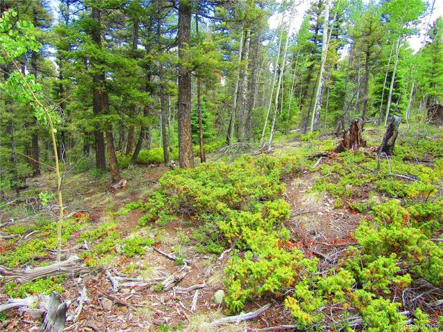 LOT 6079 Stella Road, San Luis, CO 81152