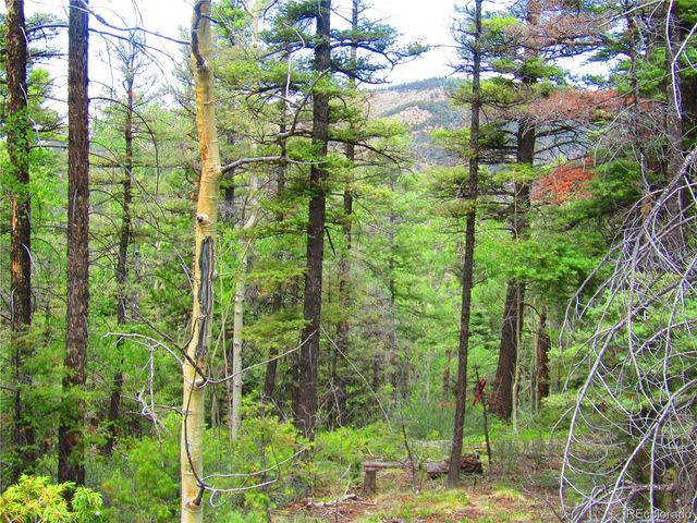 LOT 6079 Stella Road, San Luis, CO 81152