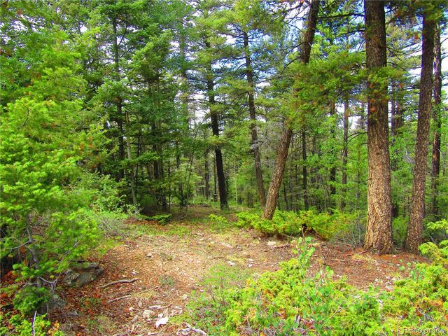 LOT 6079 Stella Road, San Luis, CO 81152