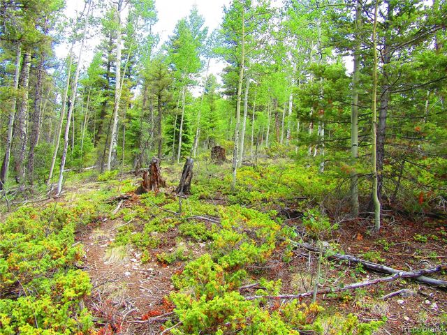 LOT 6079 Stella Road, San Luis, CO 81152