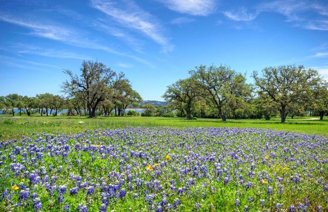 15205 Back Of The Moon ST, Austin, TX 78734