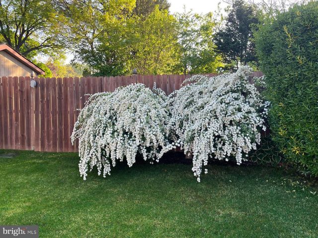 4607 AUBREY AVE, Philadelphia, PA 19114