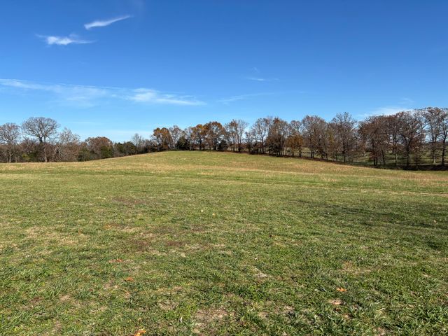 17196 Farm Road 2030, Aurora, MO 65605