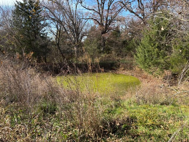 17196 Farm Road 2030, Aurora, MO 65605