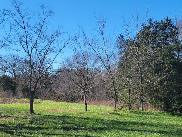 17196 Farm Road 2030, Aurora, MO 65605