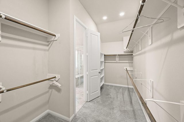 15019 Mulberry Hallow Street, Conroe, TX 77302