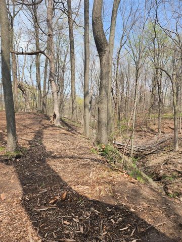 17708 Thunder Road, New Buffalo, MI 49117
