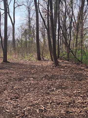 17708 Thunder Road, New Buffalo, MI 49117