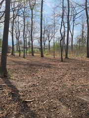 17708 Thunder Road, New Buffalo, MI 49117