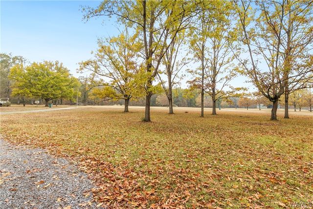 1805 Cypress Cove, Forkland, AL 36740