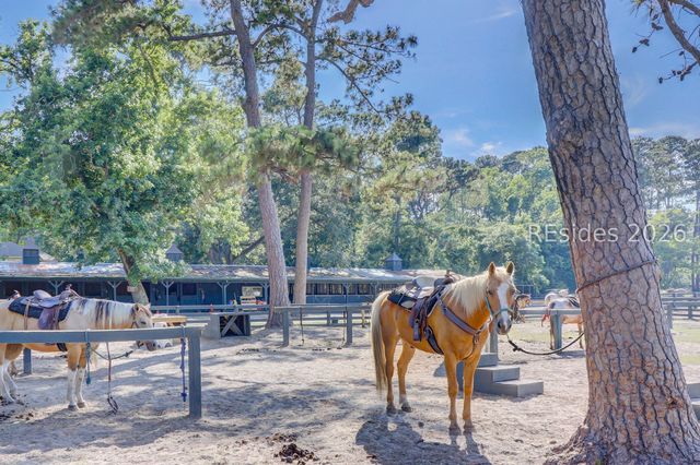 19 Newhall Rd, Hilton Head Island, SC 29928