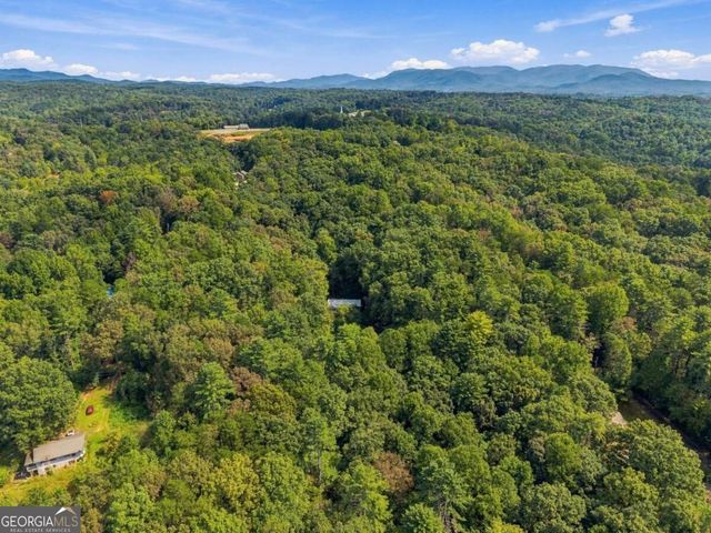 250 Mccollum Road 1R, Ellijay, GA 30540