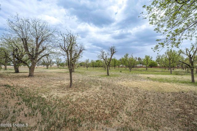 1461 W Brown Road, Las Cruces, NM 88005