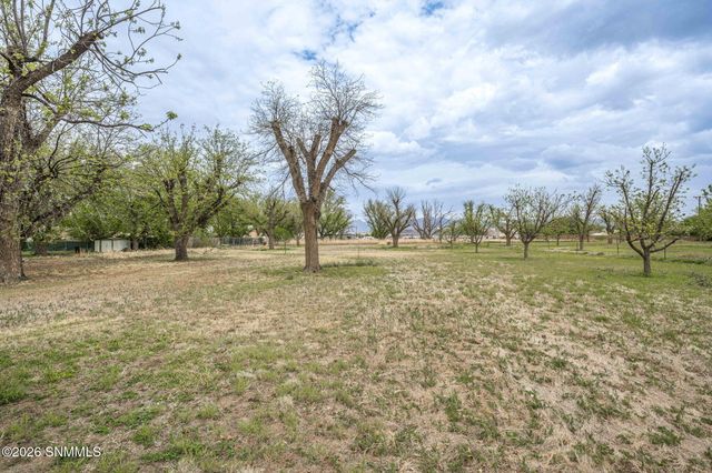 1461 W Brown Road, Las Cruces, NM 88005